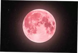 Fenomena Pink Moon: Keindahan Langit Malam yang Dinantikan