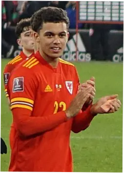 Brennan Johnson: Pemain Muda yang Siap Menggelegar di Crystal Palace