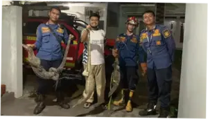 Bruk! 3 Biawak Jatuh di Plafon Rumah Warga Bogor, Damkar Turun Tangan