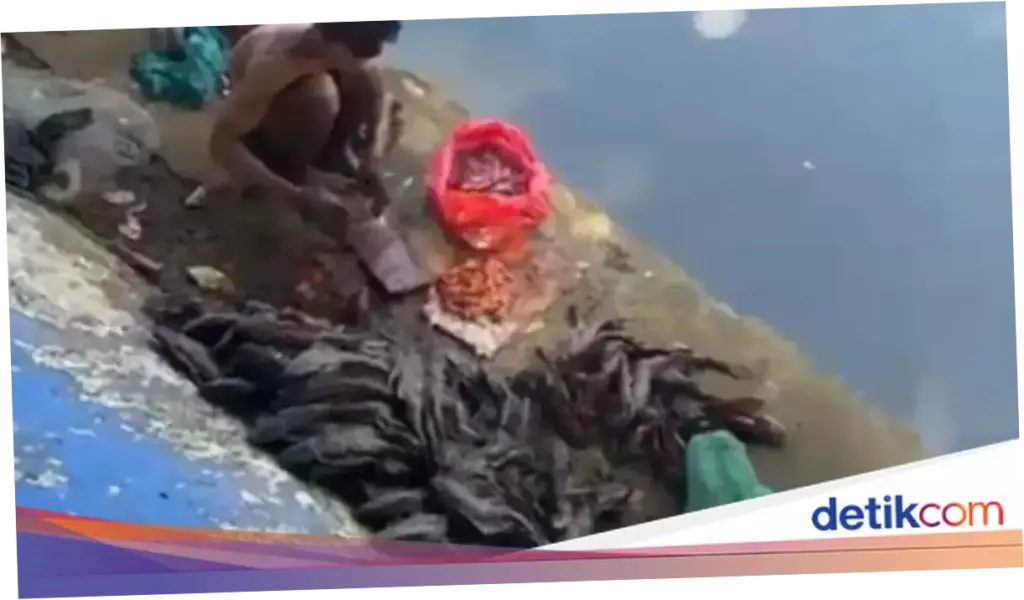 Cari Ikan Sapu-sapu Buat Dijual, 5 Pria di Jakpus Diamankan Satpol PP