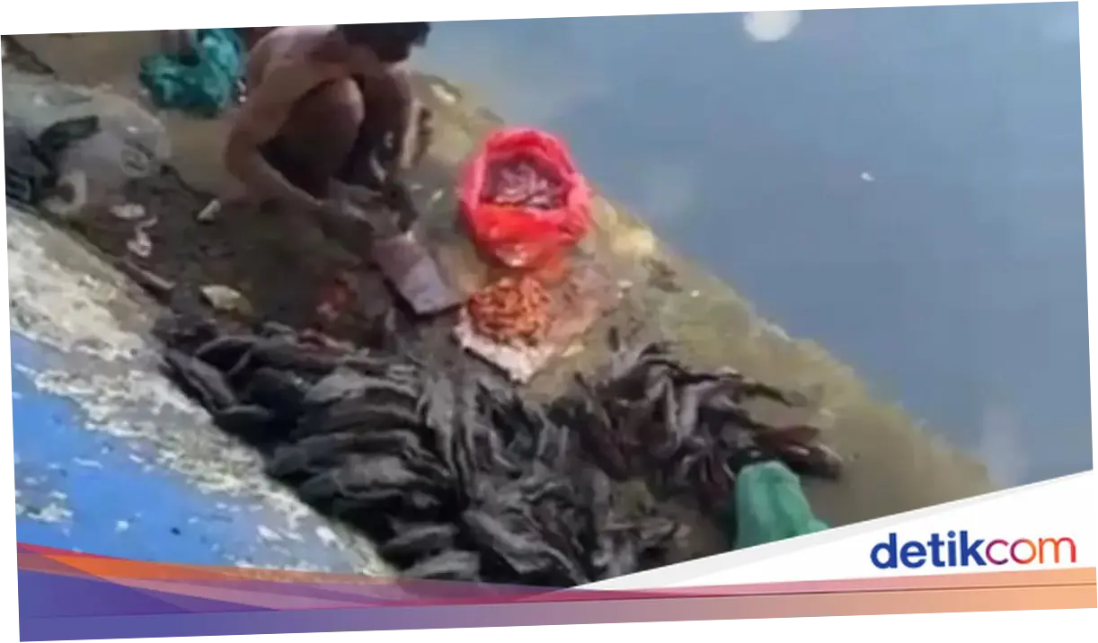 Cari Ikan Sapu-sapu Buat Dijual, 5 Pria di Jakpus Diamankan Satpol PP