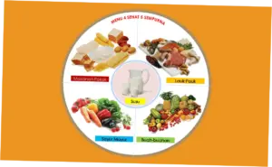 Mengenal Lebih Dalam tentang Makanan Kucing Terakhir dari Aini