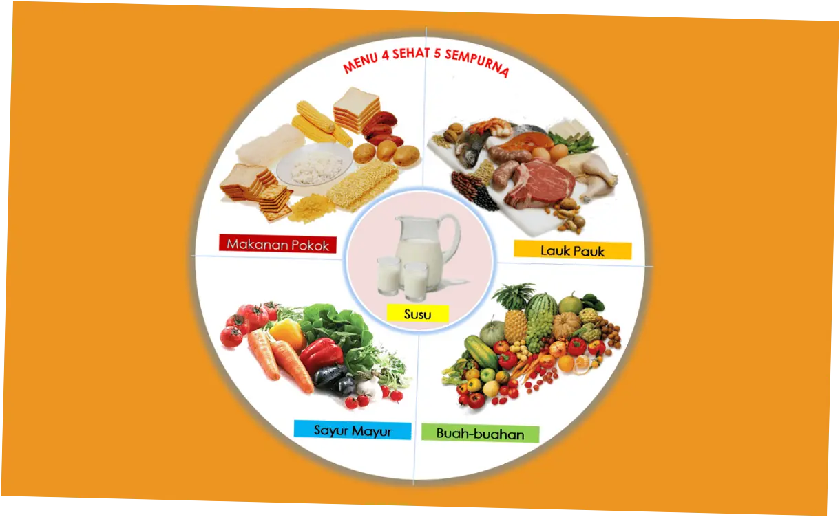 Mengenal Lebih Dalam tentang Makanan Kucing Terakhir dari Aini