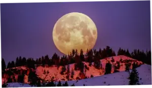 Purnama Flower Moon Mei 2026: Catat Waktu dan Tips Melihatnya