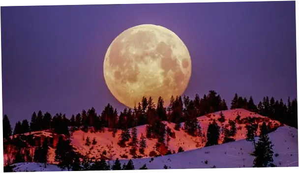 Purnama Flower Moon Mei 2026: Catat Waktu dan Tips Melihatnya