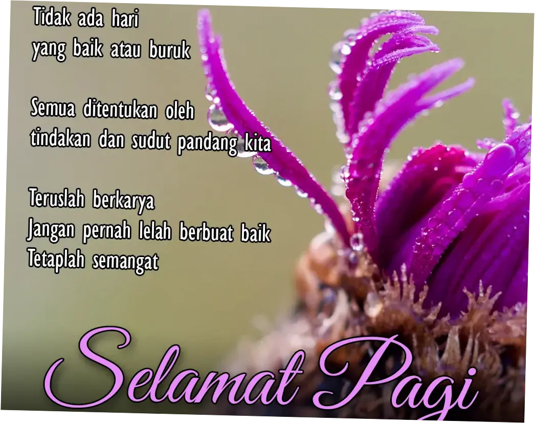 Selamat: Antara Ucapan dan Tindakan