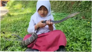 Siswi SD di Cianjur Viral Bestie dengan Ular, Dibawa Tidur hingga Sekolah