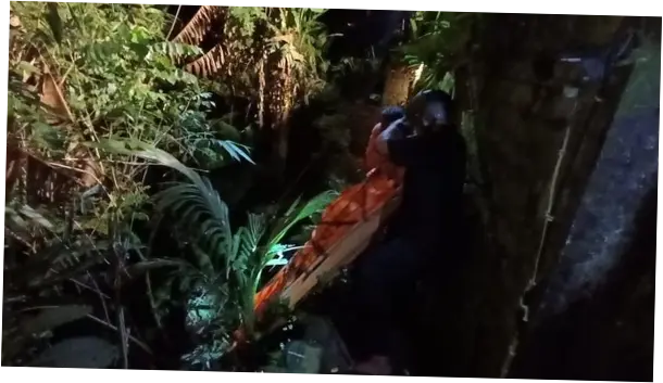 WN Swedia Dievakuasi di Jurang Ubud Bali, Diduga Tewas Sudah 3 Hari