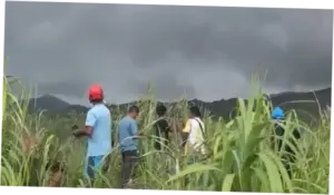 14 Pendaki Selamat dari Erupsi Gunung Dukono, 7 WNI dan 7 WNA
