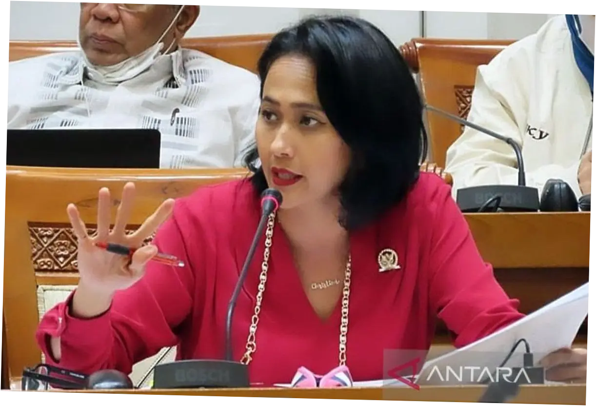 Anggota Komisi I DPR Dukung Komdigi Tindak Video Tudingan Amien Rais