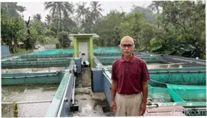Cerita Ruskandar Dibantu BRI, Usaha Ikan Bioflok Topang Ekonomi di Masa Pensiun