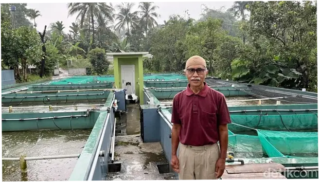 Cerita Ruskandar Dibantu BRI, Usaha Ikan Bioflok Topang Ekonomi di Masa Pensiun