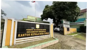 Desa Cikeas Tumbuh Bersama BRI: Digitalisasi UMKM hingga BUMDes Ayam Petelur