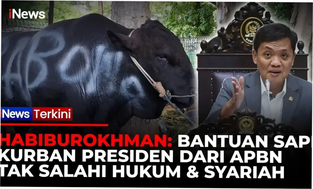 Habiburokhman: Bantuan Sapi Kurban Presiden dari APBN Tak Salahi Hukum