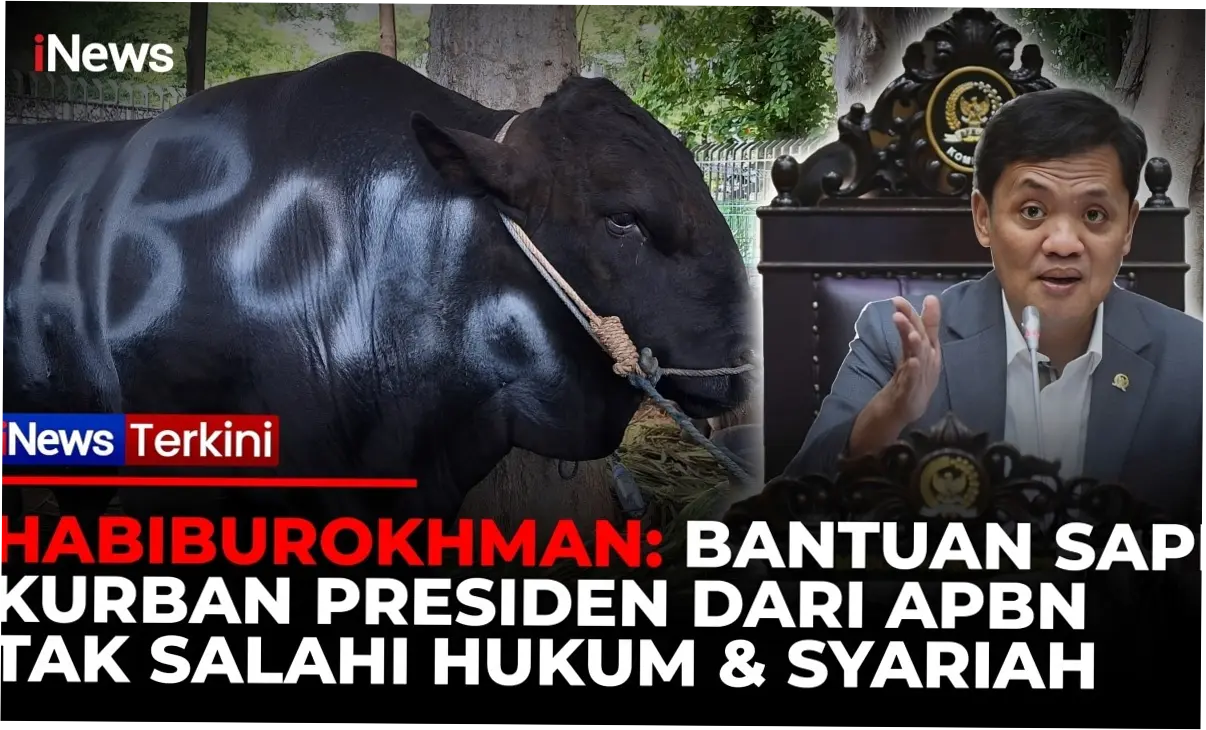 Habiburokhman: Bantuan Sapi Kurban Presiden dari APBN Tak Salahi Hukum
