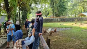 Kapibara di Ragunan Masih Jadi Primadona