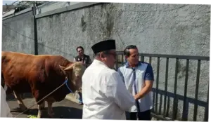 Ketua RT Ungkap Antusiasme Warga Gandaria Dapat Sapi 1 Ton dari Rano Karno