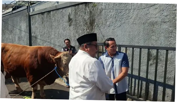 Ketua RT Ungkap Antusiasme Warga Gandaria Dapat Sapi 1 Ton dari Rano Karno