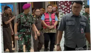 LHP Ombudsman Harusnya Usut Migor Langka, Diubah Yeka untuk Tujuan Ekspor