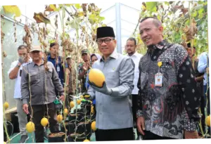 Mendes Puji Desa Tuntang Sukses Manfaatkan Dana Desa hingga Raup Rp 1,6 M