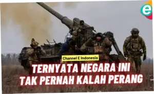 Negara Ini Pernah Kalah Saat Berperang Lawan Burung