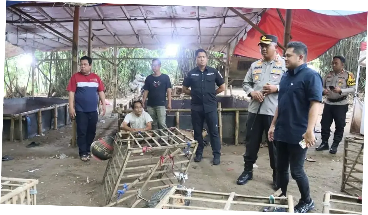 Operasi Sabung Ayam di Tangerang: Polisi Tangkap 2 Orang dan Sita 28 Sepeda Motor