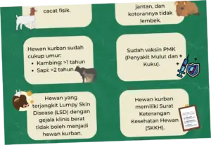 Panduan Memilih Hewan Kurban untuk Idul Adha 2026