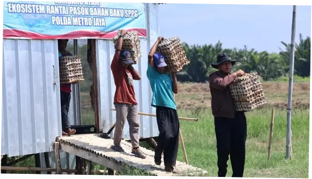 Polda Metro Jaya Panen 3.000 Telur di Bekasi untuk Mendukung Ketahanan Pangan