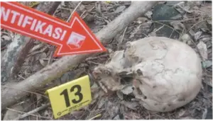 Pria Malaka Ditemukan Tinggal Tengkorak di Hutan Ternyata Dibunuh 3 Anaknya