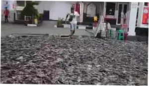 SPBU di Klaten Jadi 'Kolam Lele' Usai Muatan Truk Tumpah