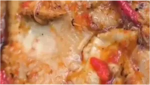 Viral Menu MBG di SMK Pekalongan Berbelatung, SPPG Minta Maaf