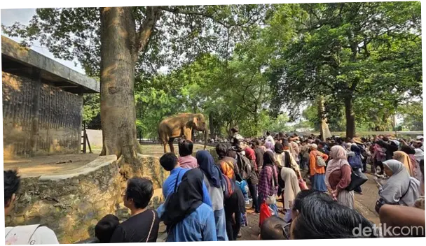 135 Ribu Orang Serbu Ragunan di Hari Terakhir Masuk Gratis, Naik 2 Kali Lipat