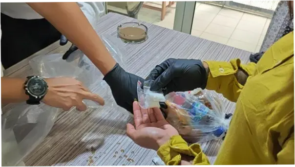 4 Kasus Penyelundupan Narkoba ke Lapas Jakarta-Rutan Salemba Digagalkan