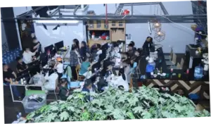 Bareskrim Ungkap Markas Judol Hayam Wuruk Mirip di Kamboja dan Myanmar