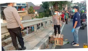 Benda Dikira Mayat Bayi di Flyover Gegerkan Warga Depok, Ternyata Kucing Mati