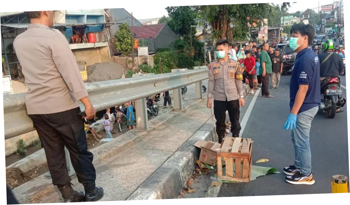 Benda Dikira Mayat Bayi di Flyover Gegerkan Warga Depok, Ternyata Kucing Mati