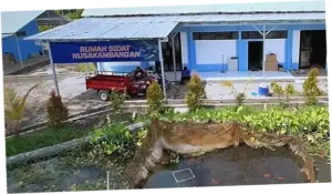 Intip Dampak Geliat Budidaya Sidat di Nusakambangan bagi Ekonomi Warga Cilacap