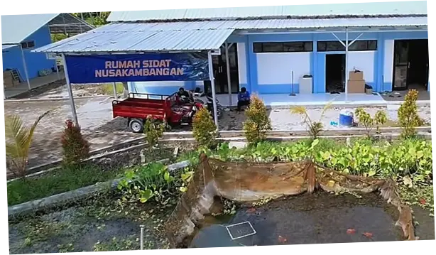 Intip Dampak Geliat Budidaya Sidat di Nusakambangan bagi Ekonomi Warga Cilacap