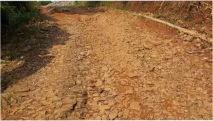 Jalan Rusak Berujung Petisi Darah, Pemprov Desak Pemkab Pandeglang Bergerak
