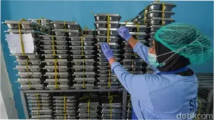 Korwil SPPG Cilacap Bantah 100 Titik Dapur Fiktif Termasuk di Kuburan