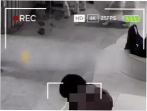 Pelecehan Anjing Pomeranian di Jakarta Utara: Pria Jakut Diduga Idap Zoofilia