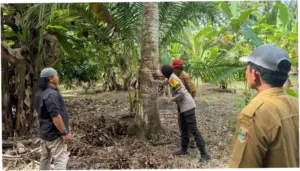 Petani di Lampung Dibuat Panik gegara Beruang Masuk Kebun
