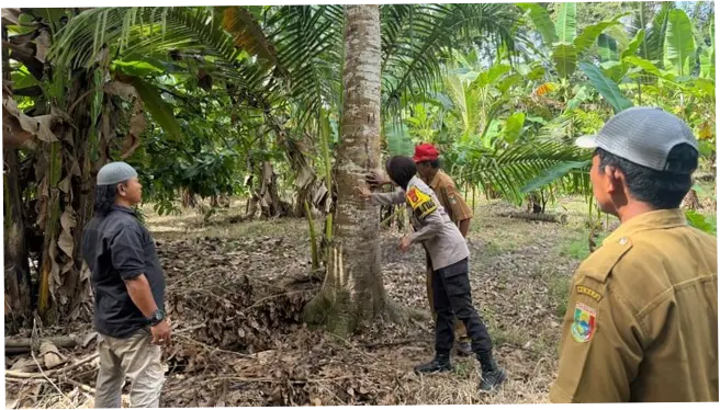 Petani di Lampung Dibuat Panik gegara Beruang Masuk Kebun