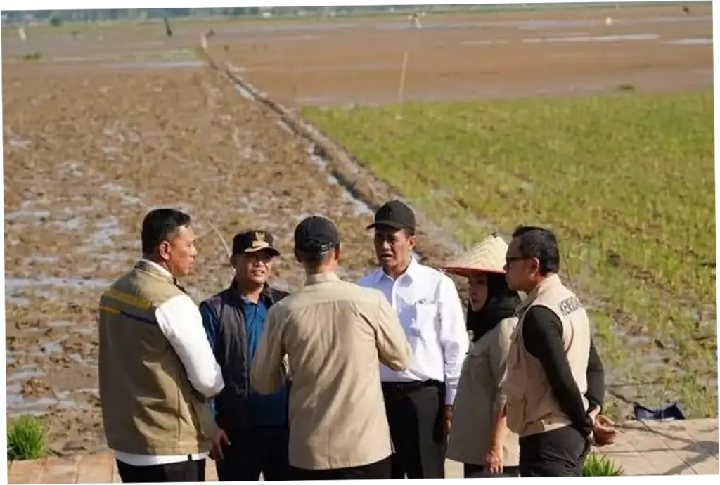 Renduk Pascabencana Bawa Harapan Baru Petani-Ketahanan Pangan Berkelanjutan