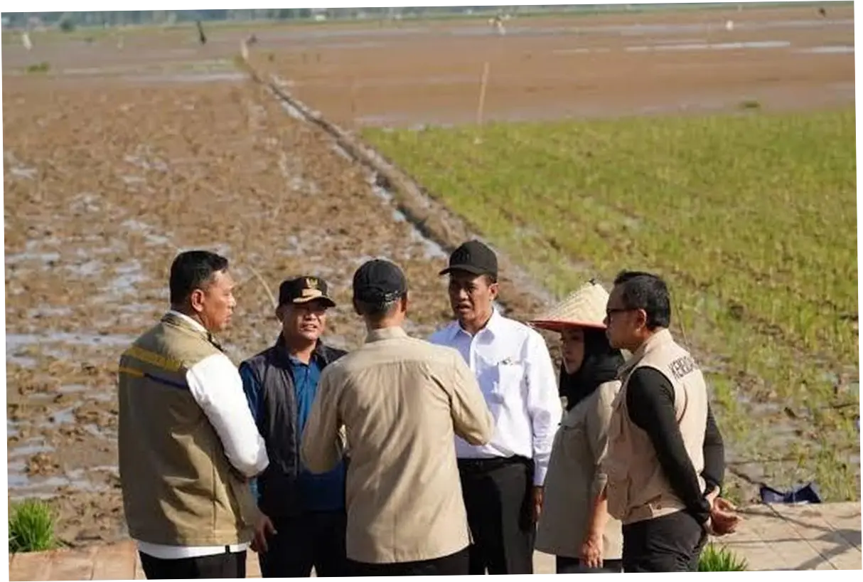 Renduk Pascabencana Bawa Harapan Baru Petani-Ketahanan Pangan Berkelanjutan