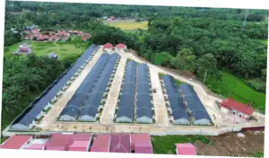 Satgas PRR Perkuat Koordinasi Penyiapan Lahan Huntap bagi Penyintas