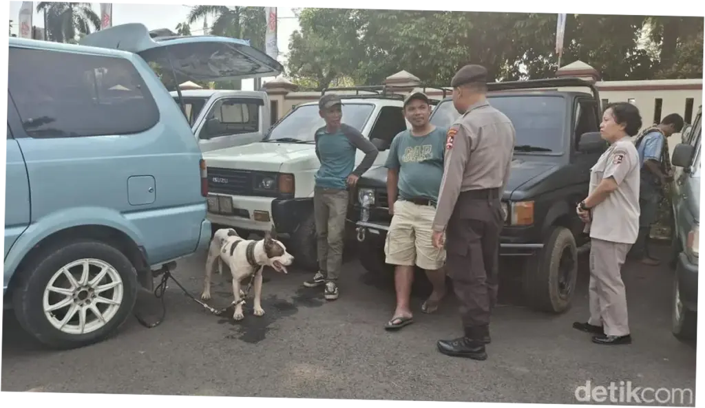 Tak Ada Lagi Aktivitas Berburu Babi di Jasinga Usai Heboh Anjing Serang Bocah