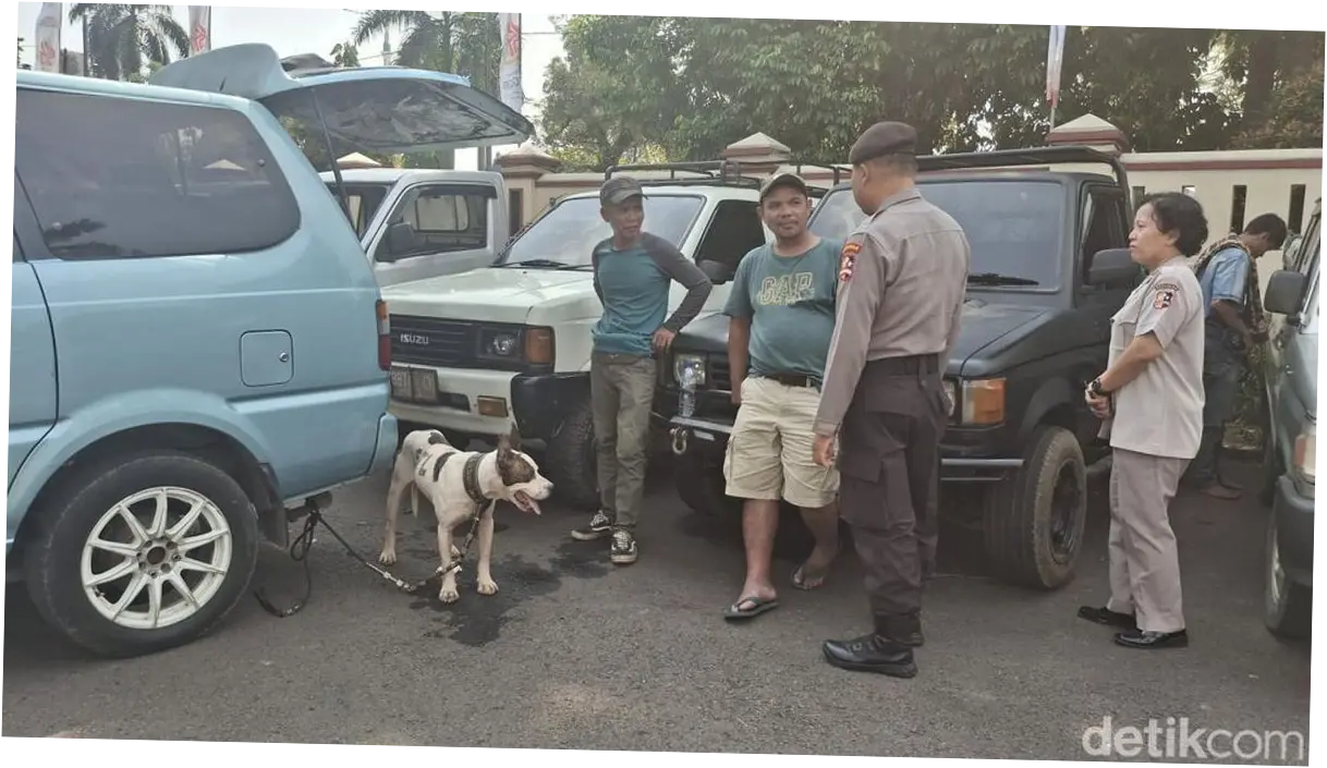 Tak Ada Lagi Aktivitas Berburu Babi di Jasinga Usai Heboh Anjing Serang Bocah