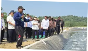 Titiek Sapa Napi di Kolam Udang Nusakambangan: Senang Nggak, Ada Kesibukan?