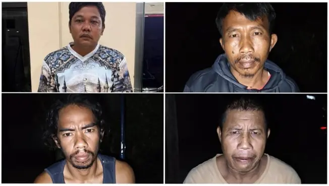 Asal-usul Tapir yang Keliaran di Lampung hingga Dimasak Warga Jadi Rica-rica